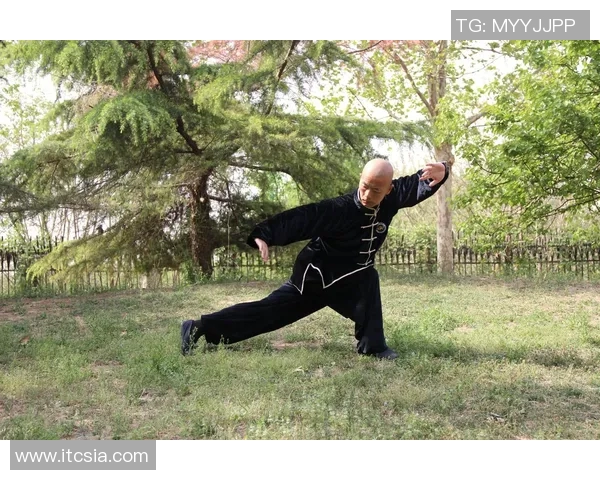 探索四十二式太极拳的精髓与魅力，感受传统武术的深厚文化底蕴与身心和谐之道