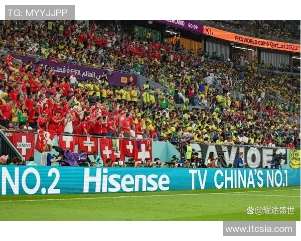 瑞士与巴西足球对决全方位分析与精彩数据解读